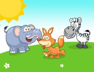 Animal Memory